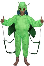 Kaku Fancy Dresses Grasshopper Insect Costume -Green, For Boys  Girls