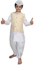 Kaku Fancy Dresses National Heros Freedom Fighters Dr. Radhakrishnan Costumes for Kids  Independence  Republic Day