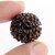 Original One Face Rudraksha 1 Mukhi Rudraksh Lab Certified Wood With rudraksha mala Beads For Men  Women