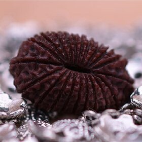 21 mukhi rudraksha original with certified / 21 face rudraksha original With Rudraksha Mala with Golden Cap Men  Women