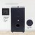 Digimate DG-BB01 Boombox 80 Watt Powerful Tower Speaker 6.5