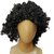 Kaku Fancy Dresses Black Curly Afro Funky Malinga Wig for Disco/ Party Props/ Party Favours Black, for Boys