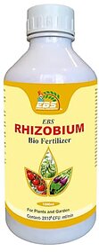 EBS Rhizobium Spp Bio Fertilizer  Nitrogen Fixing Bacteria for Plants  (5 X 10  8 Cfu/Ml Min)  for Home Garden Terrace Garden Nursery Greenhouse And for Agricultural Purposes (1000ml x 3)