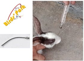 Feeding Dosing tubes for Rabbit-Good steel reusable Ball tip curve needle for Rabbit Birds' Park