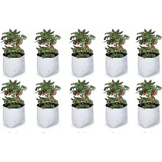 GML Grow Green LDPE Poly Grow Bags with Flower Plant (White, 20x20x35 cm) - Pack of 10.