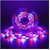 Daybetter 5 Meter Led Strip Lights Waterproof Led Light Strip With Bright Rgb Color Changing Light Strip With 24 Keys Ir Remote Controller And Supply For Home (Multicolor) Tar-L1