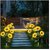 Daybetter Sunflower Solar Lights Waterproof Garden Lights  20 Led Starburst Swaying Lights  Solar Outdoor Garden Decor For Balcony  Garden  Lawn (Pack Of 2) Tar-O1