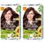 Garnier Color Naturals Cream Light Brown 5 Hair Color - 70ml+60g (Pack Of 2)