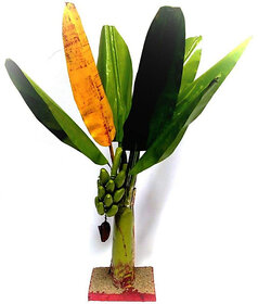 simonart and printing golu dolls artificial banana tree 1 ft