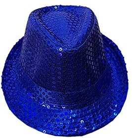 Kaku Fancy Dresses Blue Colour Hat For Kids Party / Party Hat / Birthday Props Hat / Celebration Cap / Fancy Dress
