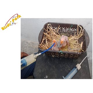 Parrot/Birds Extra Soft Feeding Tubes - Good for Feeding Baby Parrot Lovebirds Cockatiel Conure Grey Parrot  Pigeons B