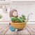 Homeberry Handicrafted Resin Siting Basket Girl,Flower Pots Plant Container Set . Decorative Showpiece  -  10 cm (Resin, Multicolor)