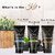 Globus Naturals Charcoal Detox  Face wash Face Scrub Peel off Mask Set of 3