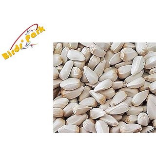 Birds Food Safflower Seeds (Kusum Dana) Fresh  Natural Good for Sun Conure, Eclectus, Grey Parrot  Macaw Birds' Park