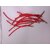 Bird Feeding tubes for LoveBirds Pigeons Conure Grey Parrot  Macaw Birds Park