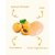 Sobek Naturals Apricot Almond Exfoliating Face Wash (100ml)