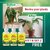 Lofiyan Plant Growth Enhancer Supplement Fertilizer, Root Enhancer for Plants Growth Fertilizer 150ml