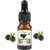 Saanvi Perfumers BlackBerry Flavour Blackberry Liquid Food Essence  (15 ml)