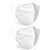 Sg Health N95 Anti Pollution White 2qtywhite Free Size Pack Of 2_287clone