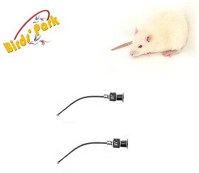 Dosing steel tubes for Albino Rat Size18Gx55mm Curve Ball tip - 2pcs -Good for Albino Rat  Canary birds Birds' Park