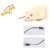 Dosing steel tubes for Albino Rat Size18Gx70mm Curve Ball tip-2pcs-Good for Albino Rat  Canary birds Birds' Park