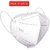 MASK n-95