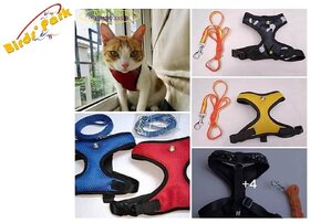Cat Belt-Cat Harness with Nylon Lease Escape-Proof Size Medium - Good Harness for Medium Size Cat Birds' Park