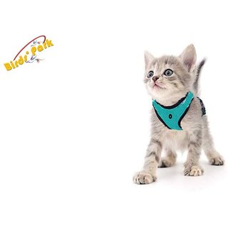 Kitten-Cat Puppy - Cat Nylon Harness with Lease Adjustable Small - Export Quality- Please Check Size Before Birds' Park