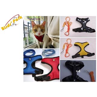 Cat Belt-Cat Harness with Nylon Lease Escape-Proof Size Medium - Good Harness for Medium Size Cat Birds' Park