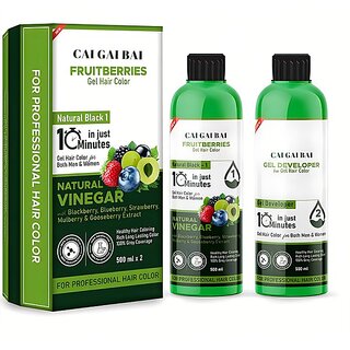 Agriveda Fruit Vinegar Professional Gel Hair Color For Both Men  Women (500Ml X 2) , Black ()