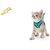 Kitten-Cat Puppy - Cat Nylon Harness with Lease Adjustable Small - Export Quality- Please Check Size Before Birds' Park