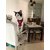 Kitten-Cat Puppy - Cat Nylon Harness with Lease Adjustable Small - Export Quality- Please Check Size Before Birds' Park