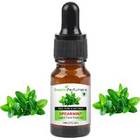 Saanvi Perfumes Spearmint Food Flavour Essence 15ml  Liquid Food Essence