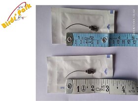 Dose feeeding tubes in steel for rat, mice  canary Curve Oval tip 6pcs Birds' Park