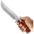 Kitchen Knife/Utility Knives for Home  Professional Use Ideal for Portable, Travel - Fruit Vegetable Cutting - 64