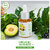 Organic Harvest Skin Illuminate Vitamin C Face Serum for Women Radiant Glowing Skin