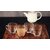 BLINKMAX Transparent Square Shape Tea Cup Coffee Cup Set of 6 Made of Crystal Clear Glass 155 ml