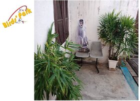 Langoor Cut-Out-Good for Monkey to get rid Off      Birds' Park