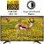 Koryo 109 Cm 43 Inches Full Hd Led Tv Kle43fnflf72t Black 2019 Model