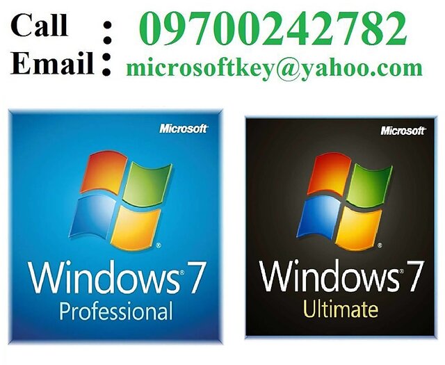 153595526-117905742-1727728431.jpg