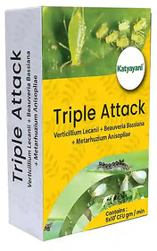 KATYAYANI TRIPLE ATTACK  VERTICILLIUM LECANII + BEAUVERIA BASSIANA + METARHIZIUM ANISOPLIAE  BIO PESTICIDE POWDER