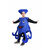 Kaku Fancy Dresses Octopus Cutout for kids, Water Animal Costume For Boys  Girls (Freesize/Only Cutout with Cap)