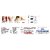(Pack of 3) Paintox Gel 30 gm - Instant Pain Reliever Gel