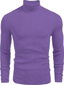 Fashlook Striped High Neck Wool Blend Casual Purple Full Sleeve T-Shirt For Mens