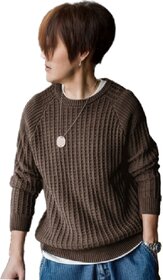 Fashlook Solid Full Sleeve Casual Brown Sweater for Men - Comfortable, Stylish Knit Pullover for Everyday Wear