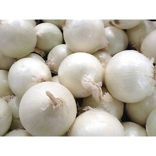 White Onion Seeds-100 Seeds Pack