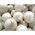 White Onion Seeds-100 Seeds Pack