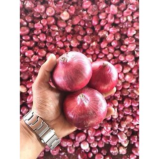 Red Onion Vegetable- Pack Of 100 Seeds