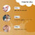 Globus Naturals Body Lotion Combo Set of 2 Kesar Chandan Papaya Body Lotion For NonGreasy Lightweight Body Moisturizer for Women Men All Skin Types
