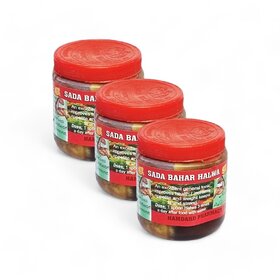 Sada Bahar Weight Gain Halwa - 100g (Pack Of 3)